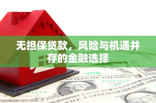 左云无担保贷款，风险与机遇并存的金融选择