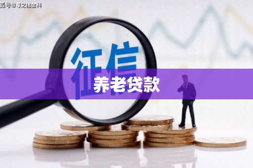 左云养老贷款