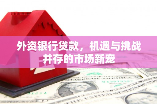 左云外资银行贷款，机遇与挑战并存的市场新宠