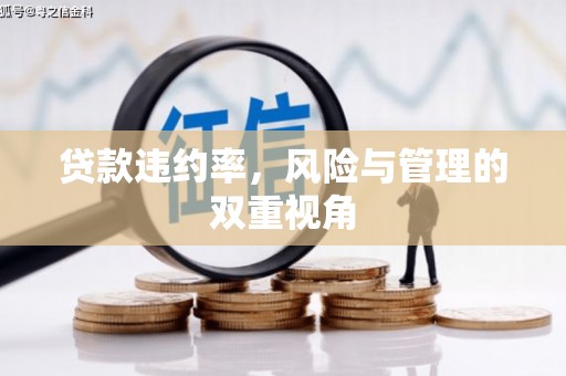 左云贷款违约率，风险与管理的双重视角
