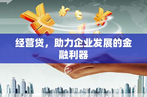 左云经营贷，助力企业发展的金融利器