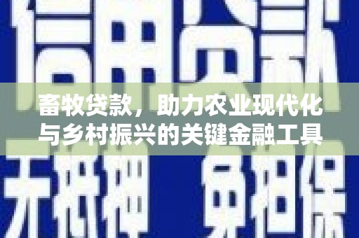 左云畜牧贷款，助力农业现代化与乡村振兴的关键金融工具
