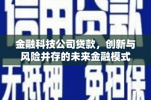 左云金融科技公司贷款，创新与风险并存的未来金融模式