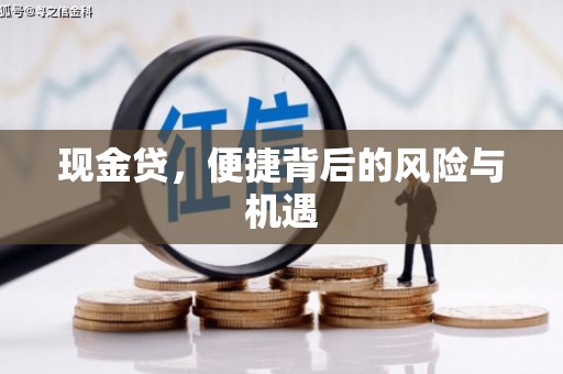 左云现金贷，便捷背后的风险与机遇