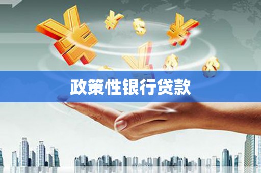左云政策性银行贷款