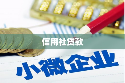 左云信用社贷款
