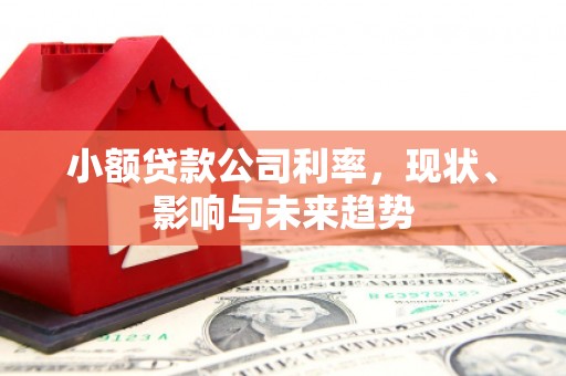 左云小额贷款公司利率，现状、影响与未来趋势