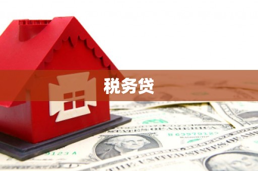 左云税务贷