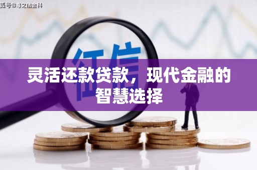 左云灵活还款贷款，现代金融的智慧选择