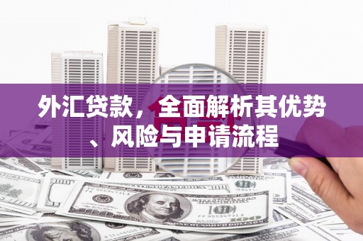 左云外汇贷款，全面解析其优势、风险与申请流程