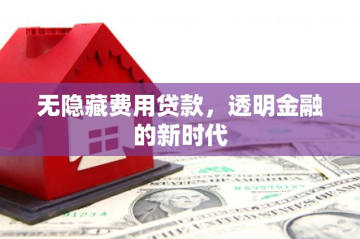左云无隐藏费用贷款，透明金融的新时代