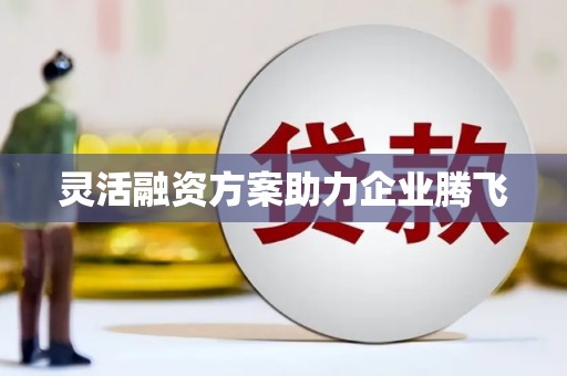 左云灵活融资方案助力企业腾飞