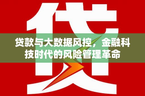 左云贷款与大数据风控，金融科技时代的风险管理革命