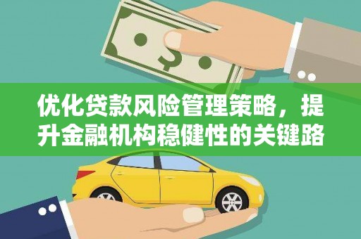 左云优化贷款风险管理策略，提升金融机构稳健性的关键路径