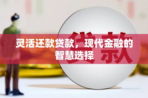 左云灵活还款贷款，现代金融的智慧选择