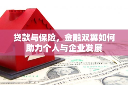 左云贷款与保险，金融双翼如何助力个人与企业发展