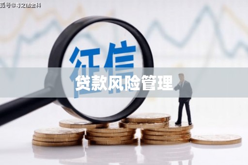 左云贷款风险管理