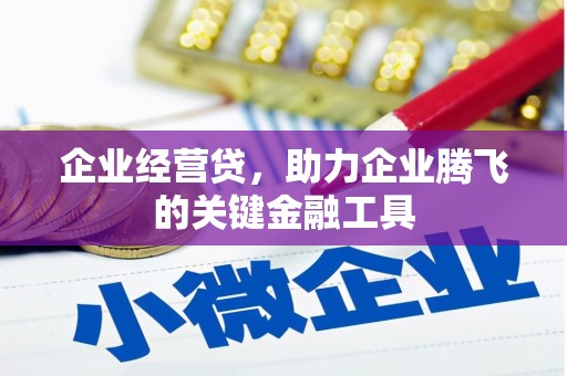 左云企业经营贷，助力企业腾飞的关键金融工具
