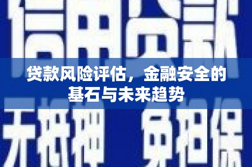 左云贷款风险评估，金融安全的基石与未来趋势