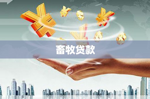 左云畜牧贷款
