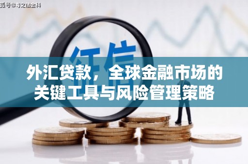 左云外汇贷款，全球金融市场的关键工具与风险管理策略