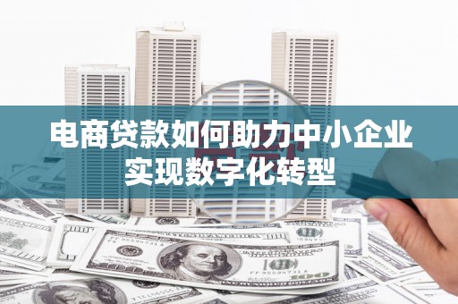 左云电商贷款如何助力中小企业实现数字化转型
