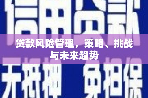 左云贷款风险管理，策略、挑战与未来趋势