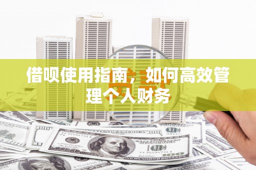 左云借呗使用指南，如何高效管理个人财务