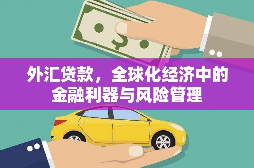 左云外汇贷款，全球化经济中的金融利器与风险管理