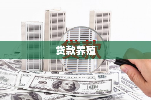 左云贷款养殖