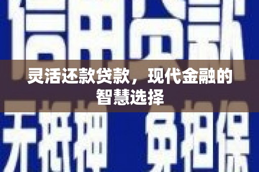 左云灵活还款贷款，现代金融的智慧选择