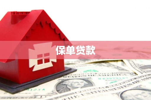 左云保单贷款