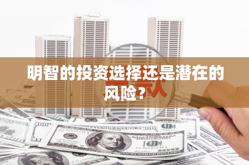 左云明智的投资选择还是潜在的风险？