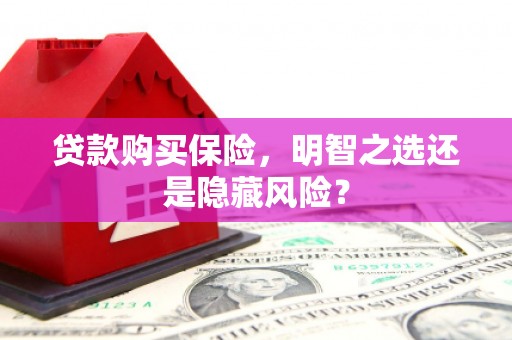 左云贷款购买保险，明智之选还是隐藏风险？