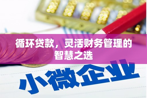 左云循环贷款，灵活财务管理的智慧之选