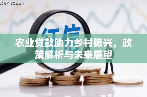 左云农业贷款助力乡村振兴，政策解析与未来展望