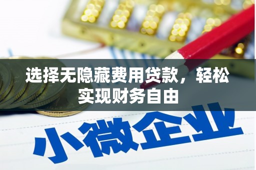 左云选择无隐藏费用贷款，轻松实现财务自由
