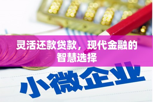 左云灵活还款贷款，现代金融的智慧选择