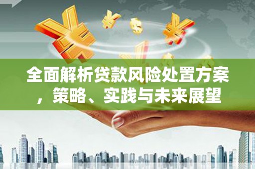 左云全面解析贷款风险处置方案，策略、实践与未来展望