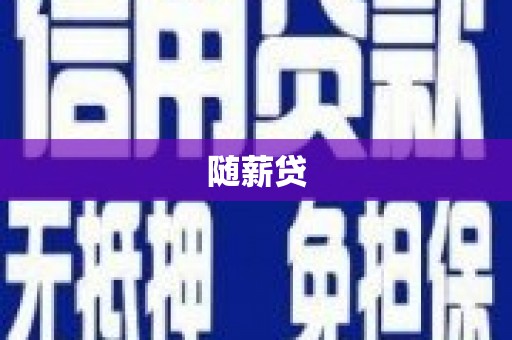 左云随薪贷