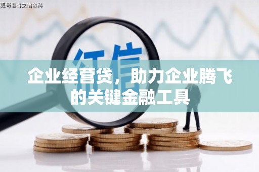 左云企业经营贷，助力企业腾飞的关键金融工具