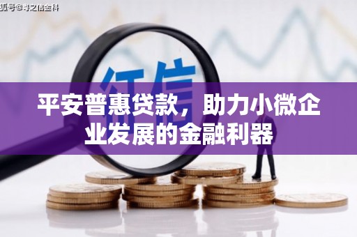 左云平安普惠贷款，助力小微企业发展的金融利器