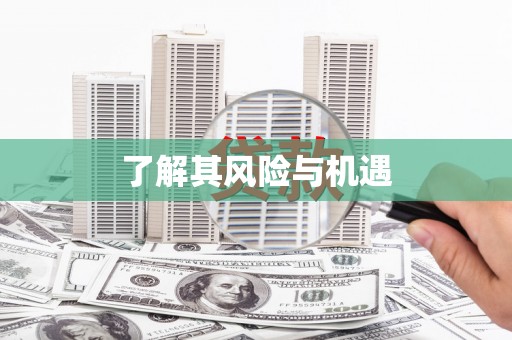 左云了解其风险与机遇