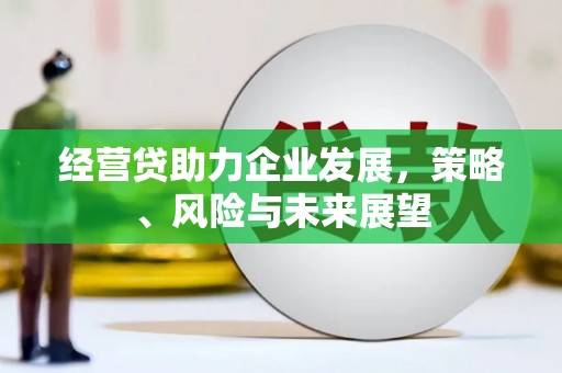 左云经营贷助力企业发展，策略、风险与未来展望