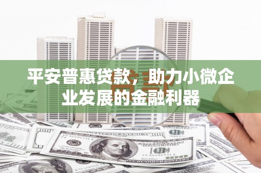 左云平安普惠贷款，助力小微企业发展的金融利器