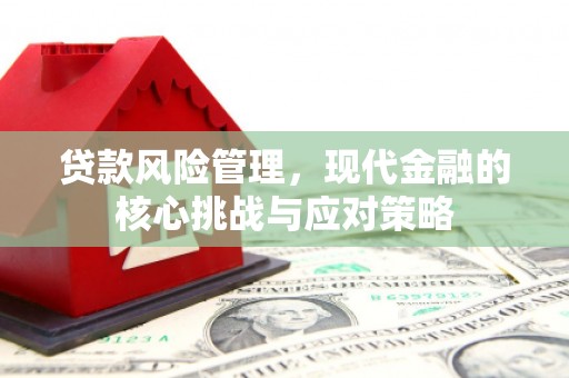 左云贷款风险管理，现代金融的核心挑战与应对策略