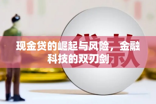 左云现金贷的崛起与风险，金融科技的双刃剑