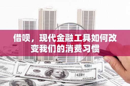 左云借呗，现代金融工具如何改变我们的消费习惯