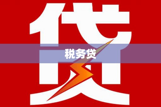 左云税务贷
