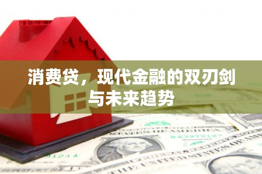 左云消费贷，现代金融的双刃剑与未来趋势